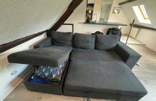 La Maison Gauloise - Asterix CDG Paris - Foto 29