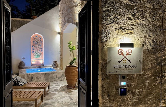 Vetus Vicinato Luxury Homes - Photo 28