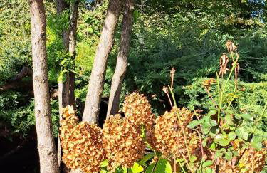 Brzozowy Zakątek - Foto 22