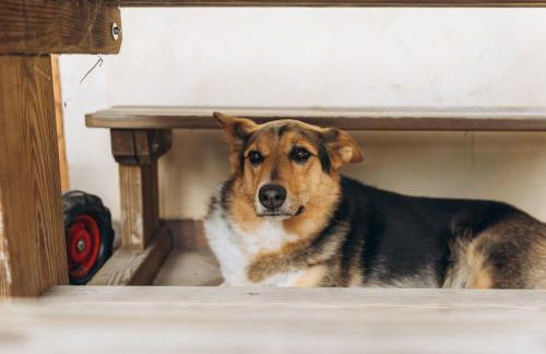 B&B Naturin - Eco Farm - Foto 79