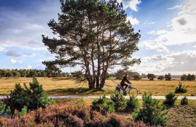 Lovely Holiday Home in Kattendijke Near Centre - Foto 76