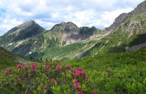 Ca' del Pettirosso - Foto 30