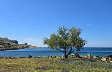 Al Civico 365 - Foto 29