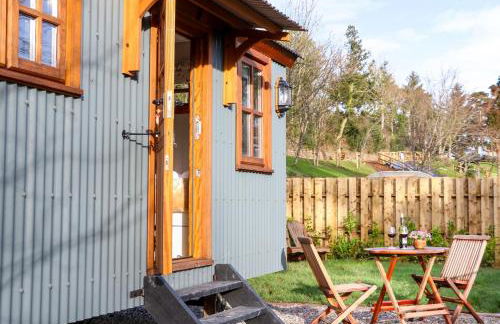 Little Silver Fox - Foto 5