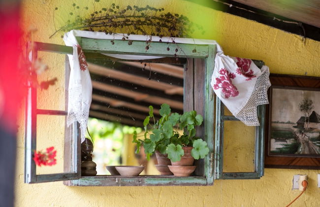 Country House Stara Kapela - Foto 29