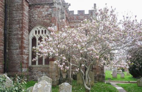 Blackberry Cottage - Foto 19