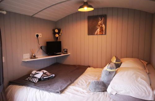 Pen-Rhos luxury glamping "Cuckoo's Nest" - Photo 6