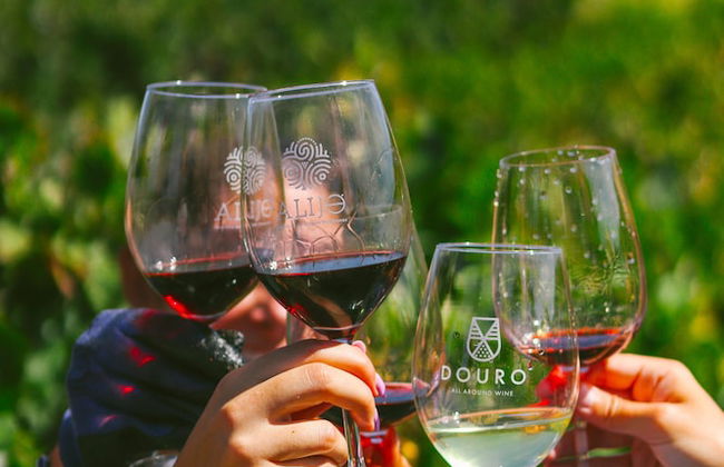 Casa Darcã - Foto 48