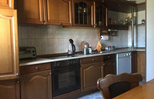 Agro-szyszynka - Foto 4