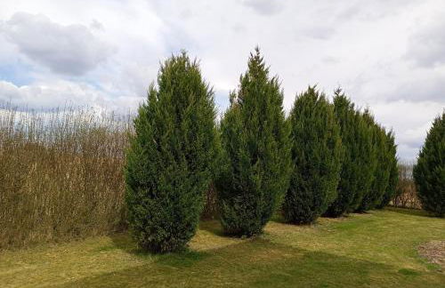 Cottage Living - Foto 37