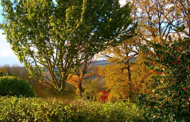 Cozy Chalet in Trois Ponts near Forest - Foto 42