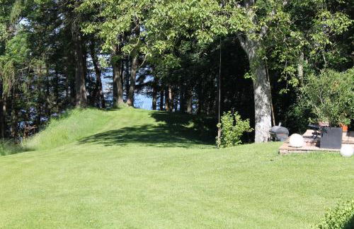 Blick ins Grüne - Foto 1