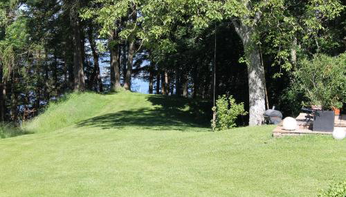 Blick ins Grüne - Foto 1