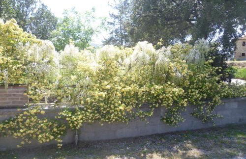 La Capanna dei Carri - Foto 17