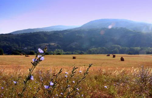 Baciano Azienda Agrituristico Venatoria - Foto 21