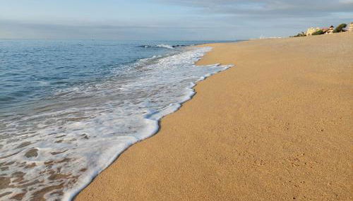 Oasis cerca de Barcelona - Photo 4