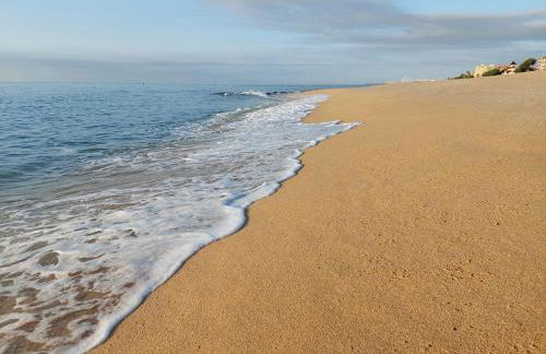 Oasis cerca de Barcelona - Photo 4