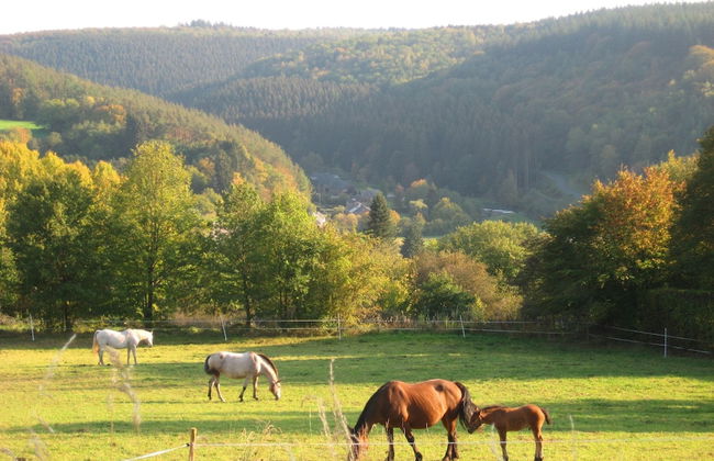 Scenic Stay in Vencimont - Foto 47