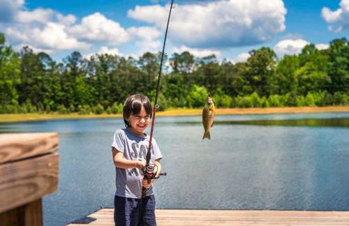 Ultimate Private Escape 35 acre to FISH/HUNT/relax - Foto 14