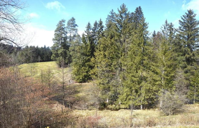 Ferienhaus im Allgau Abenteuerurlaub - Foto 40