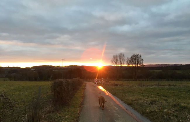 Stone House in Hamoir With Private Pool - Foto 43