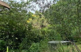 Le havre de paix Gîte insolite avec spa sous les étoiles - Foto 7