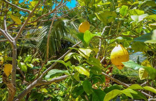 Villa Almoradi - Beautiful Villa with Private Pool Moraira - Foto 28