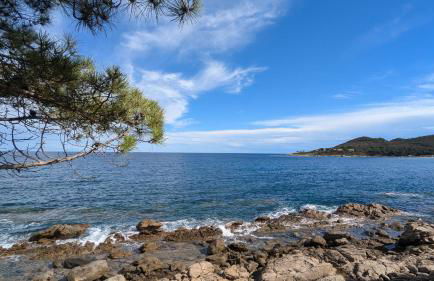 Les Villas de la Résidence U Veniqui - Foto 21