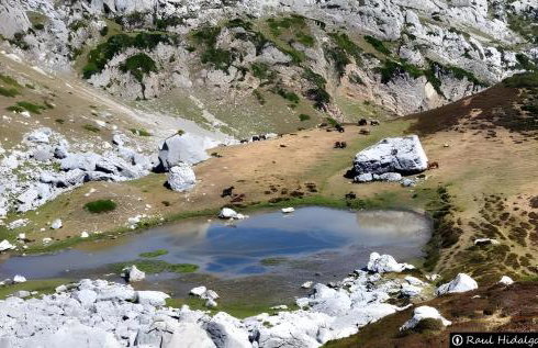 El Mirador de Babia - Photo 11