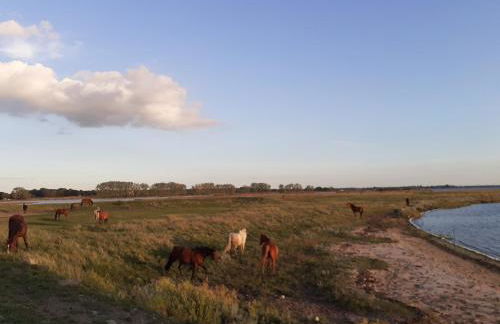 Haus 2 Linden - Foto 20