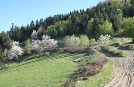 Chata pod 7 lipami - Photo 36