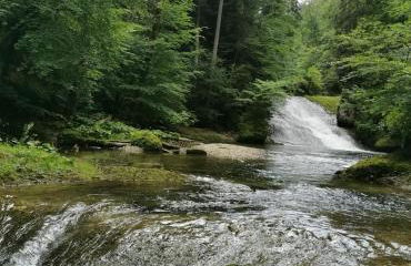 Ferienwohnung NEST - Foto 28