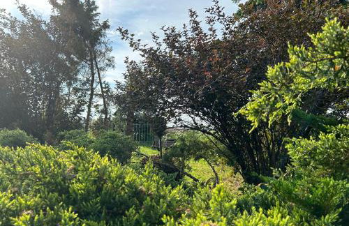 Pod Wierzbą Apartament na Kaszubach - Foto 25