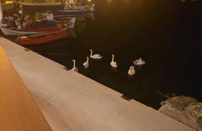 La Mer Villa - Entire Cottage - Foto 51