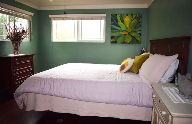 Large Groups Sequoia Park, CA Coast Wineries, Skiing. Enjoy Fire Pit, Hot Tub, Outdoor Kitchen - Foto 6