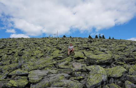 Ferienwohnung Köck - Foto 49