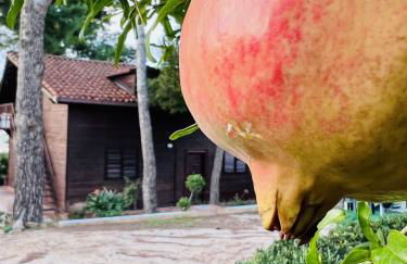 Villa Rosemary - Photo 29