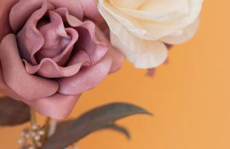 Saturraran - baskeyrentals - Foto 13