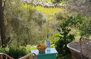 Bohème Valdareina, PISCINE CHAUFFEE, Bénagil-Carvoeiro - Foto 45