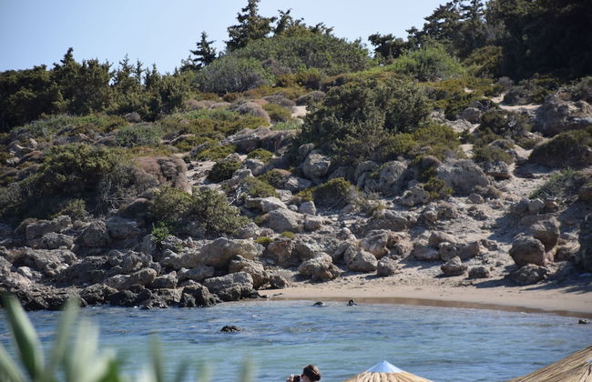 Ktima Grammeno - Foto 16