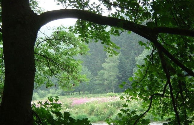 Bungalow in Monceau en Ardenne With Garden - Foto 59