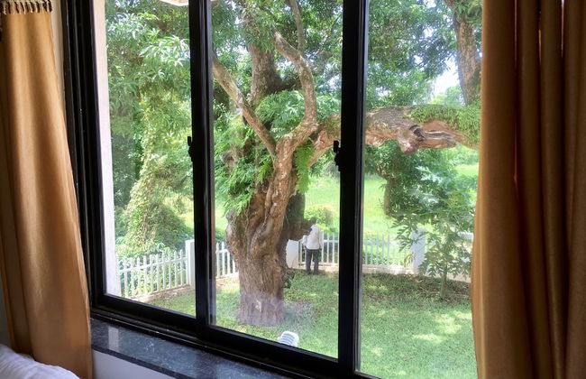 Monarch suites - Photo 46