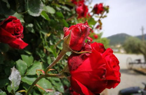 Mas Ramades - Foto 27