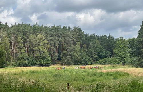 Apartament Jerzyn - Foto 48