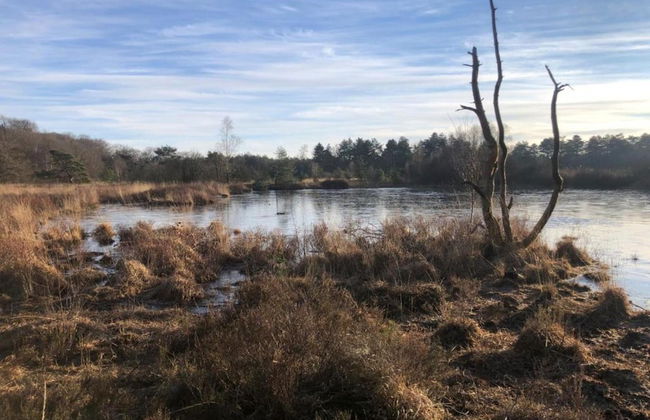 Holiday Home in Zorgvlied Near Drents - Foto 37