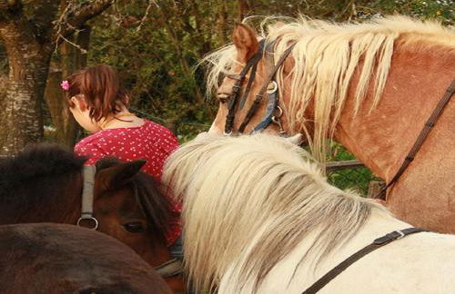 Franzenhof Markhart - Photo 62