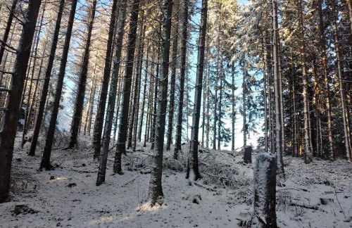 Ferienwohnung Wilmes - Photo 30