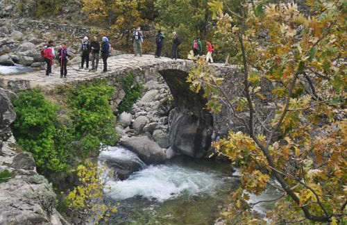 Apartamentos Rurales Cumbres de Gredos - Foto 19