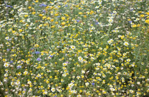 The Old Workhouse Paddocks - Foto 26