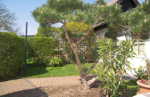 Urlaub bei Schünemanns - Foto 9